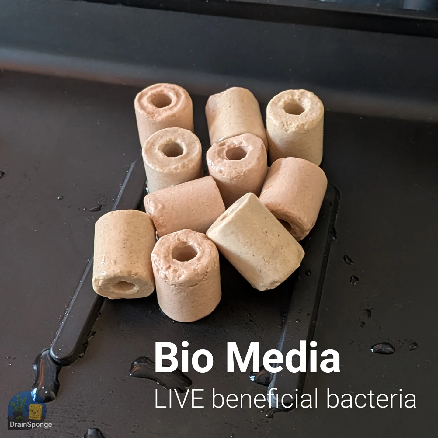 🦠 Seeded Ceramic Bio Media – Ready to Use, 4+ Weeks Established