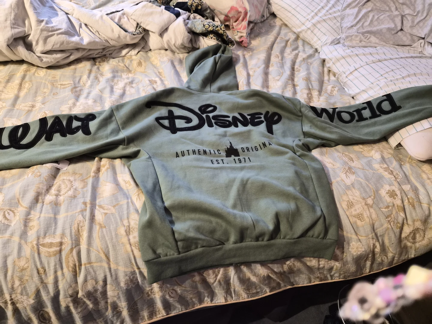 Disney World Zip-Up Hoodie