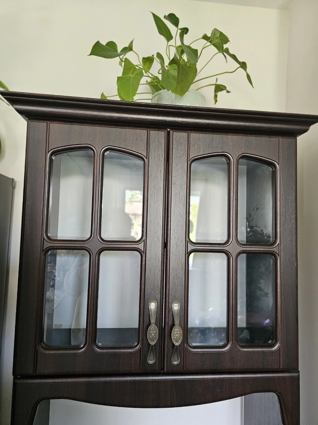 Dark Brown Kitchen Cabinet with Glass Doors - photo 2