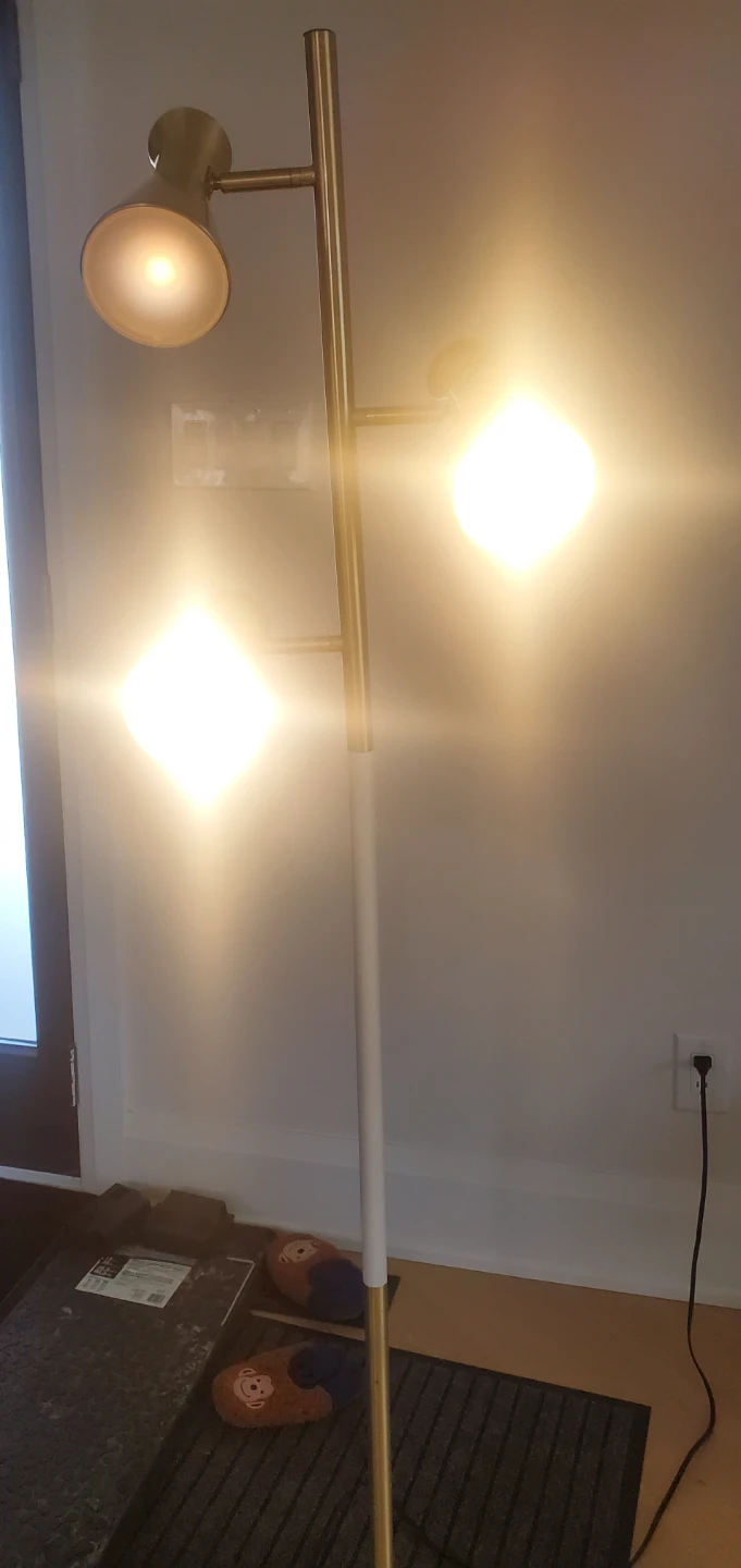 Multi-Head Floor Lamp - photo 2