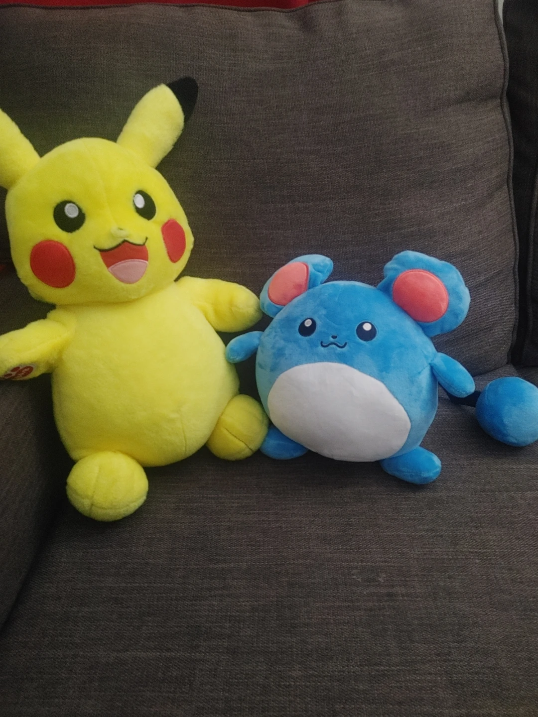 Pikachu and Marill Plush Toys