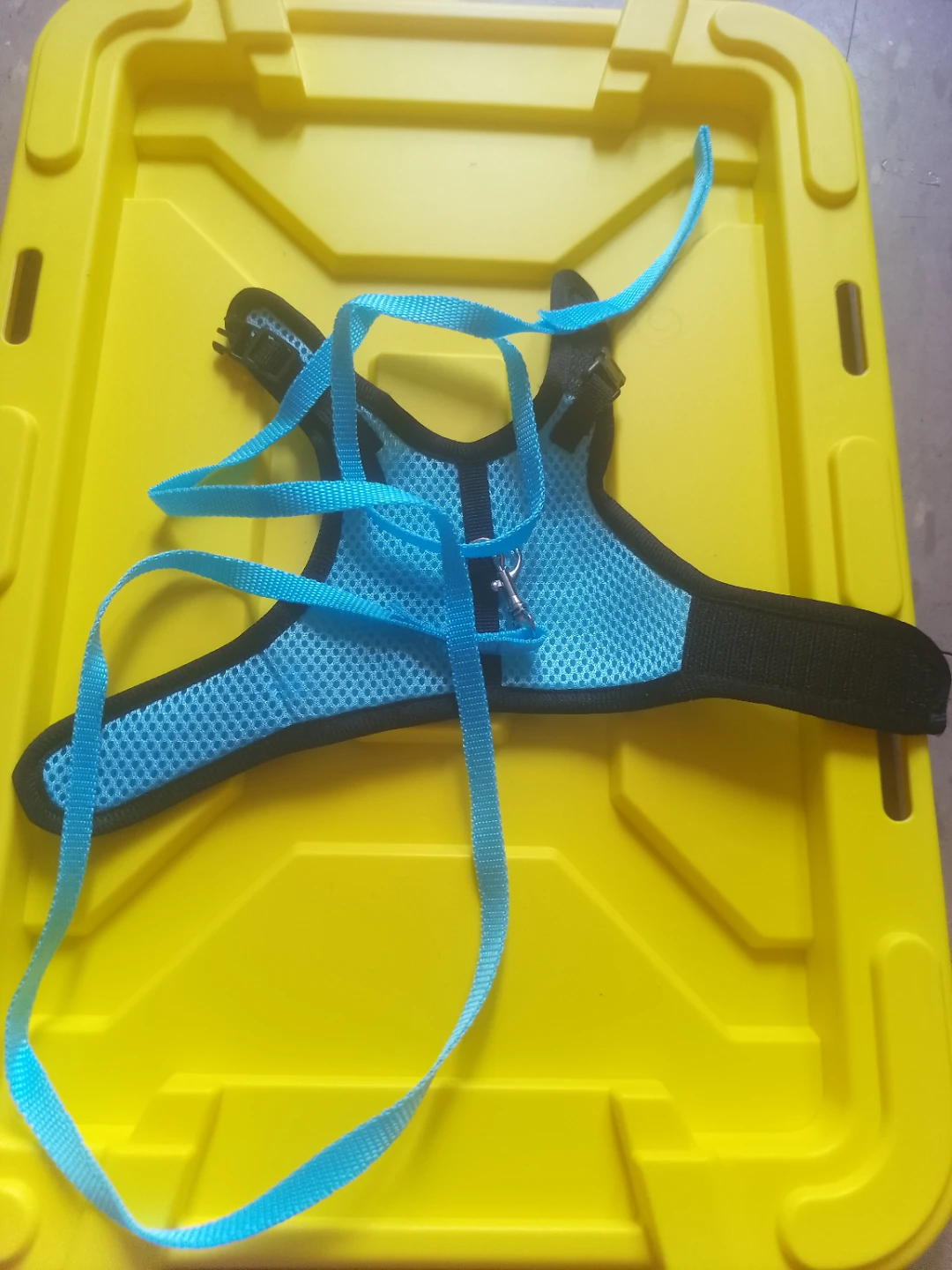 Blue hámster Harness with Leash