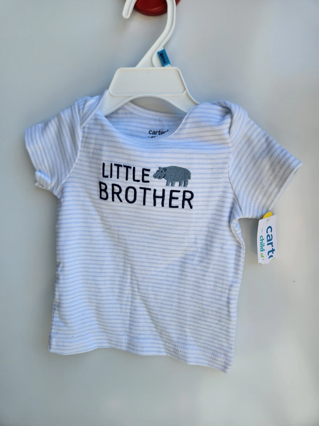 George Baby Swimsuit and Carter's "Little Brother" Onesie Set