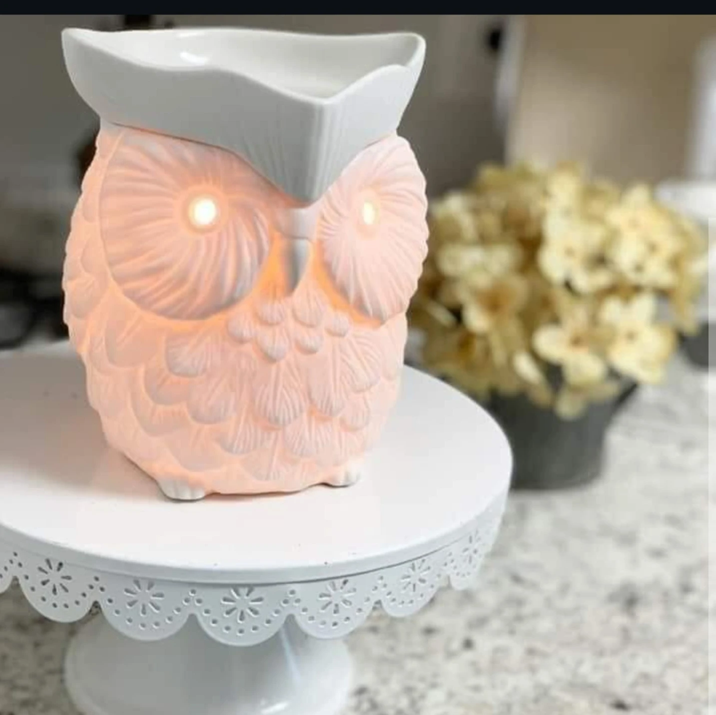 WOOT - Scentay Full size warmer