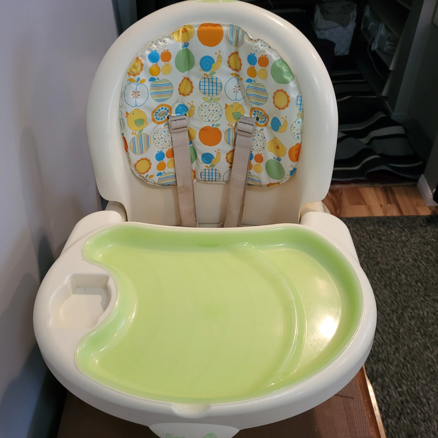 Dorel Toddler Booster Seat