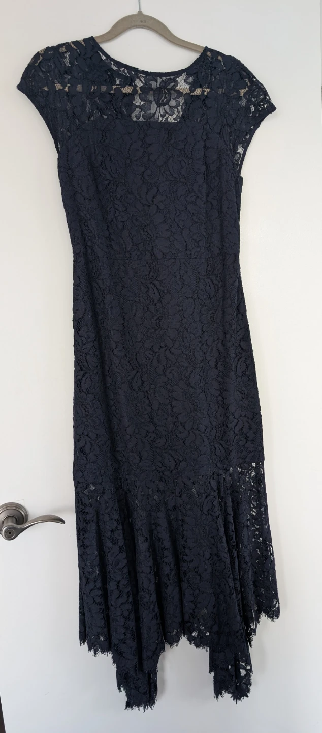 Banana Republic Navy Lace Cap Sleeve Dress - photo 3