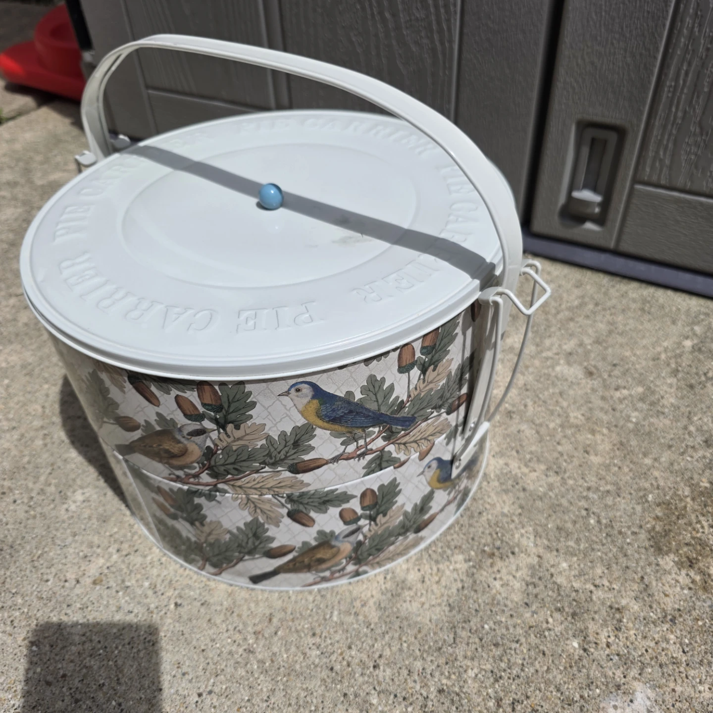 Pie Carrier Tin 12 in wide, 8 in tall