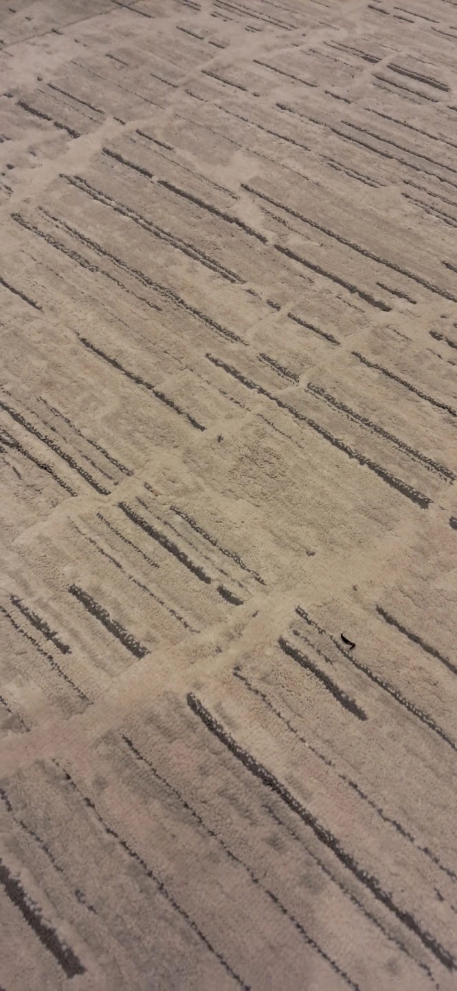 Area Rug - photo 3