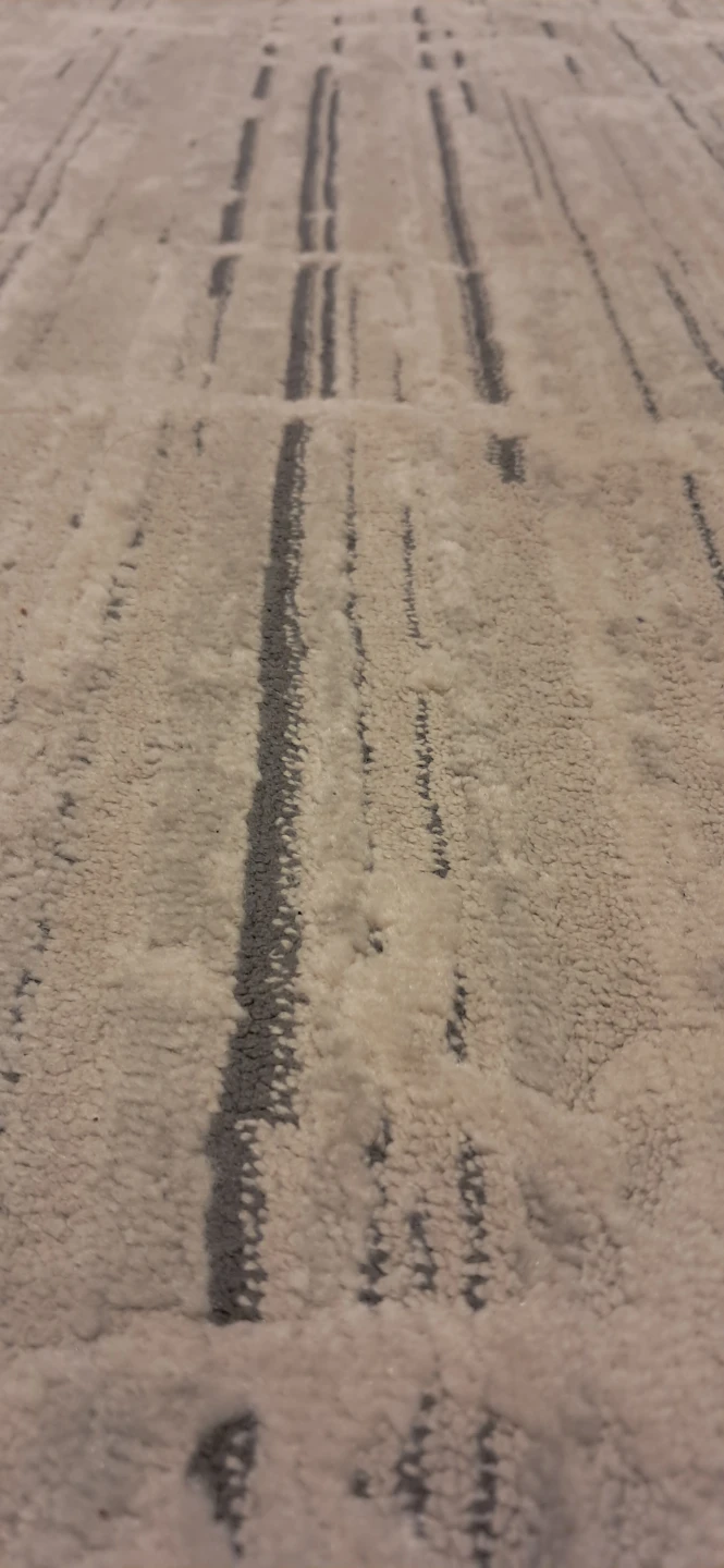 Area Rug - photo 4