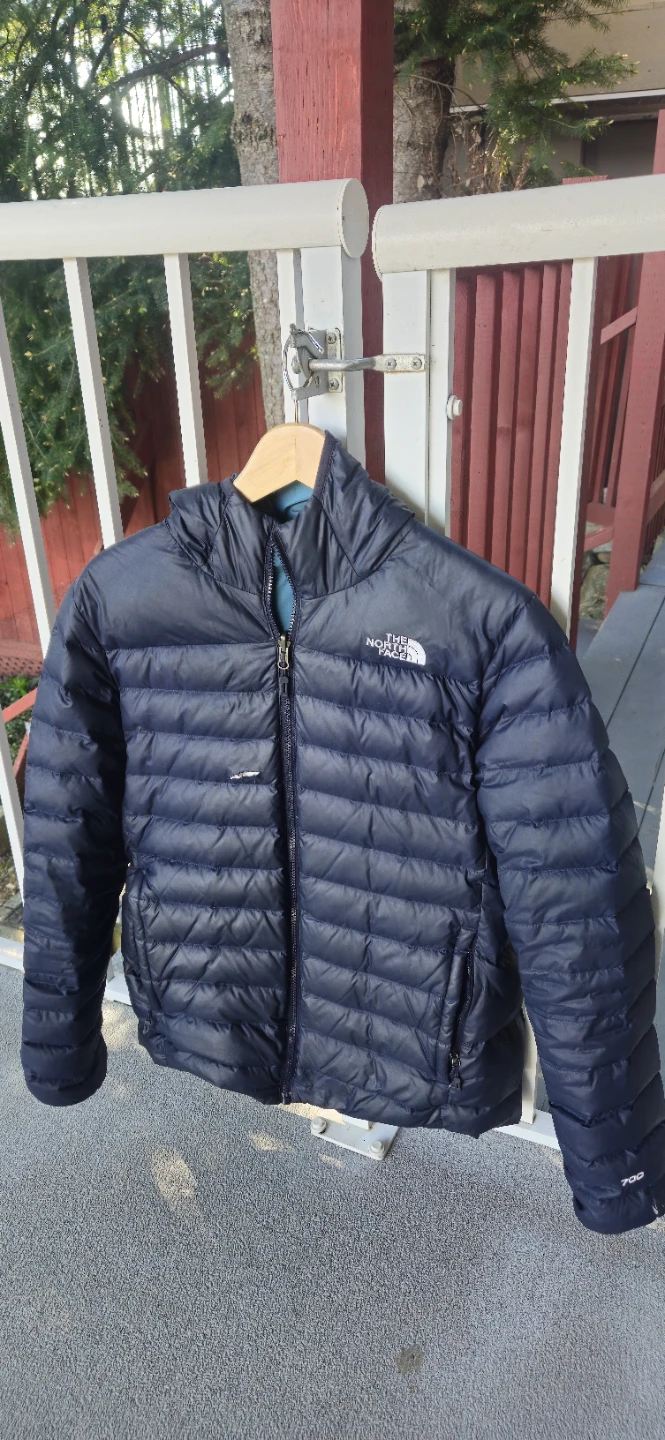 The North Face 700 Fill Down Jacket