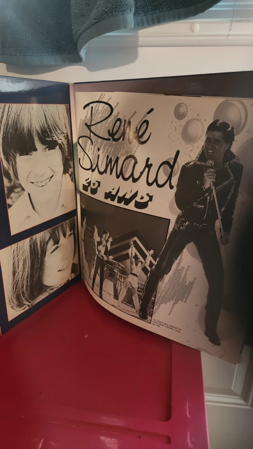 Rene Simard "25 ANS" Vinyl Record - photo 2