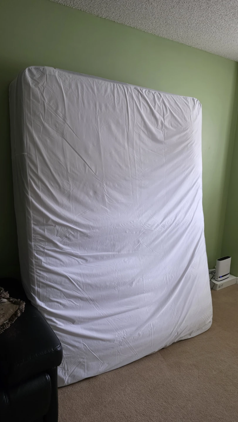 Queen Hybrid & Memory Foam Mattress + Free Protector!