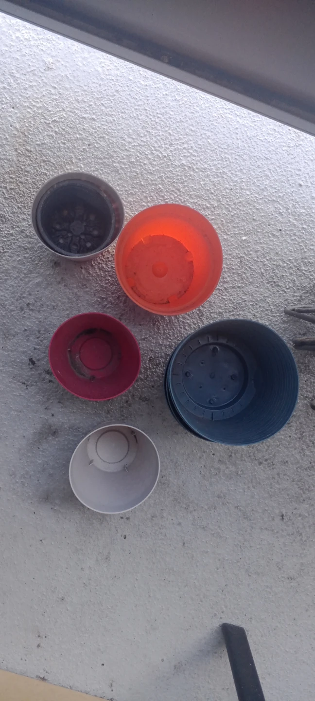 Assorted Plastic Plant Pots