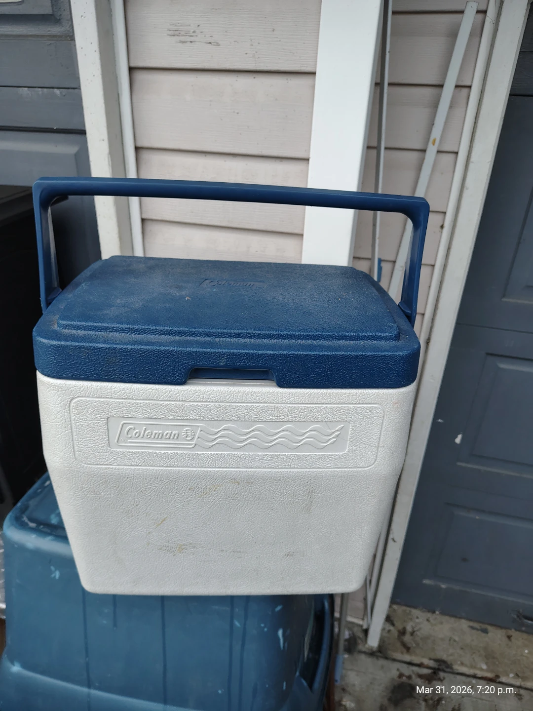 Coleman 24qt Oscar Picnic Cooler