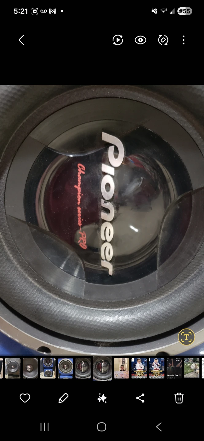 Pioneer Champion Series PRO Subwoofer