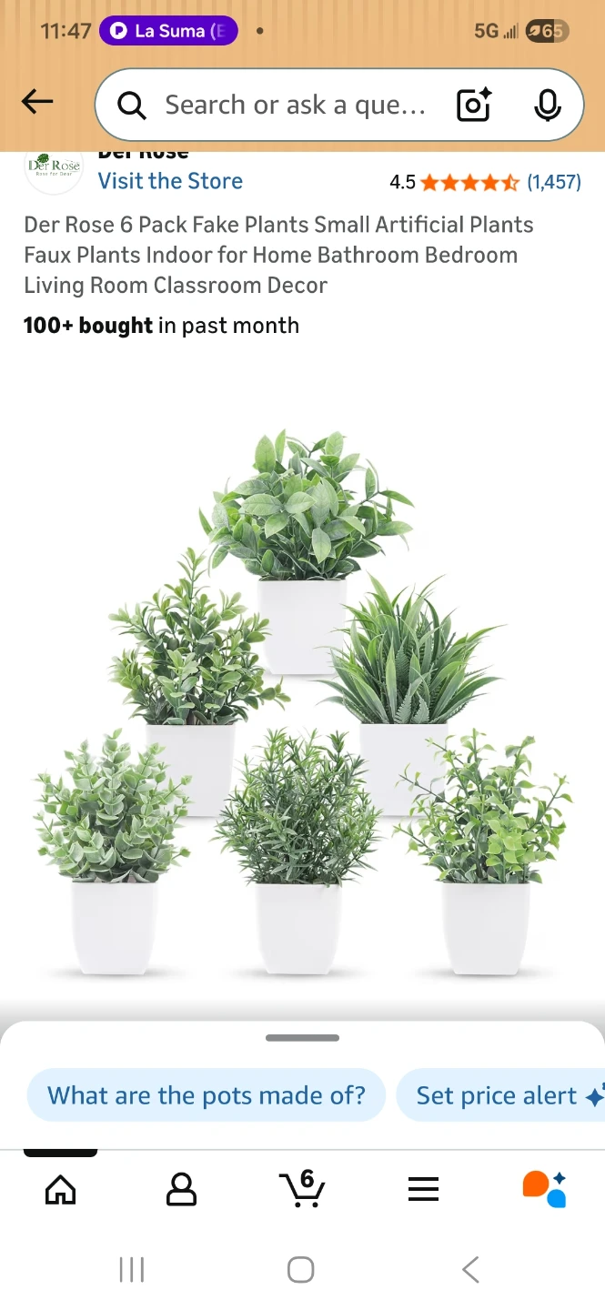 Der Rose 6 Pack Artificial Plants