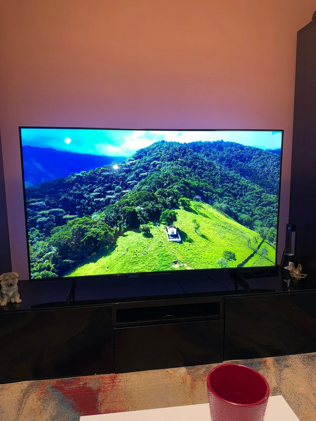 Samsung 55" Smart TV