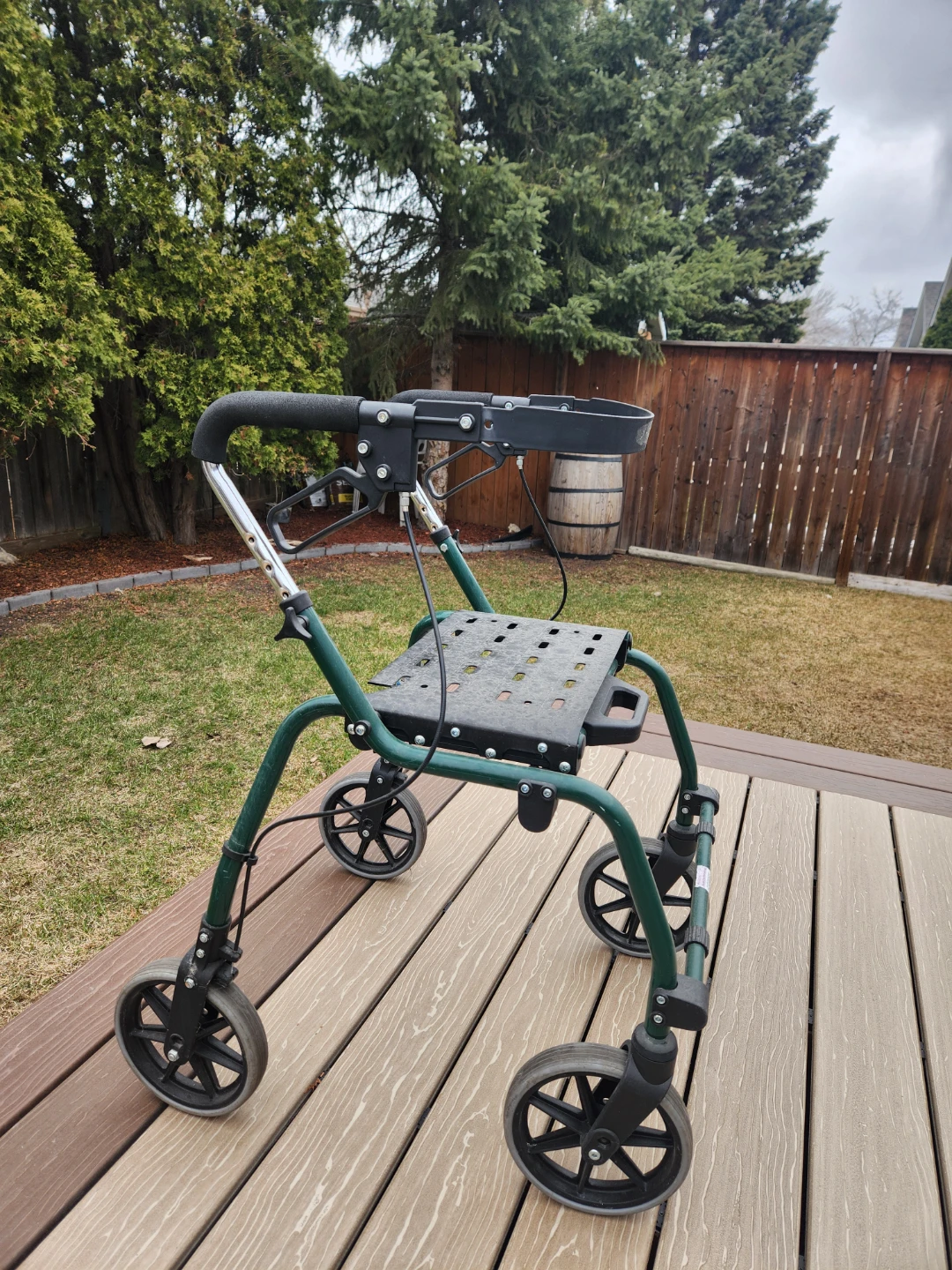Mobility Walker