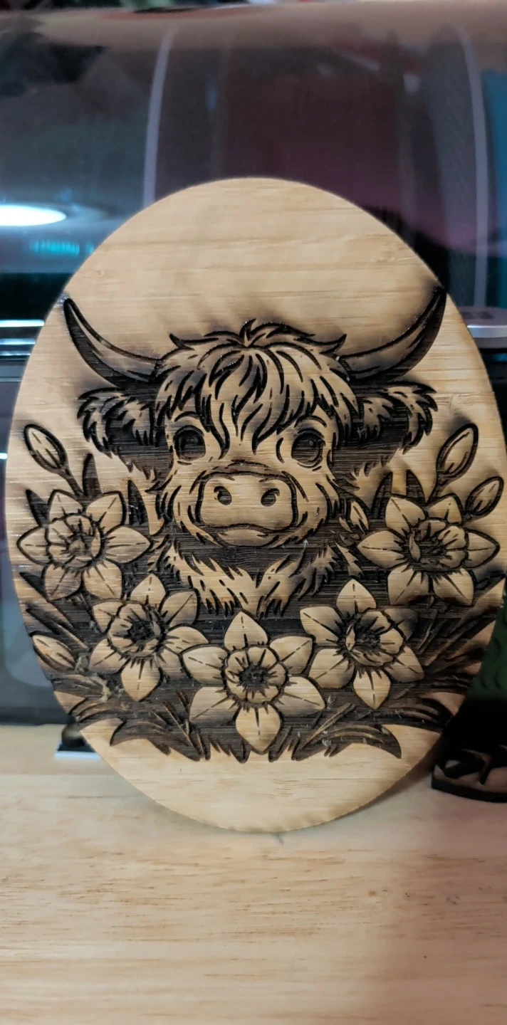 Highland Cow and Daffodils Wood Burning Art