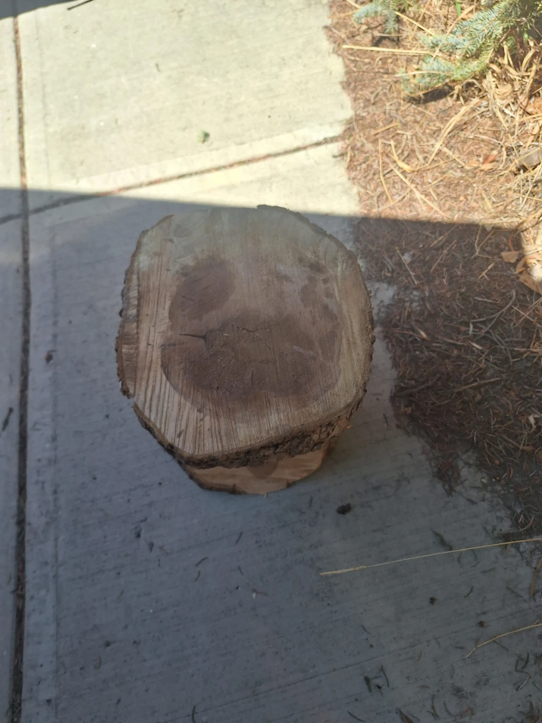 Rustic Tree Stump Accent Table - photo 2