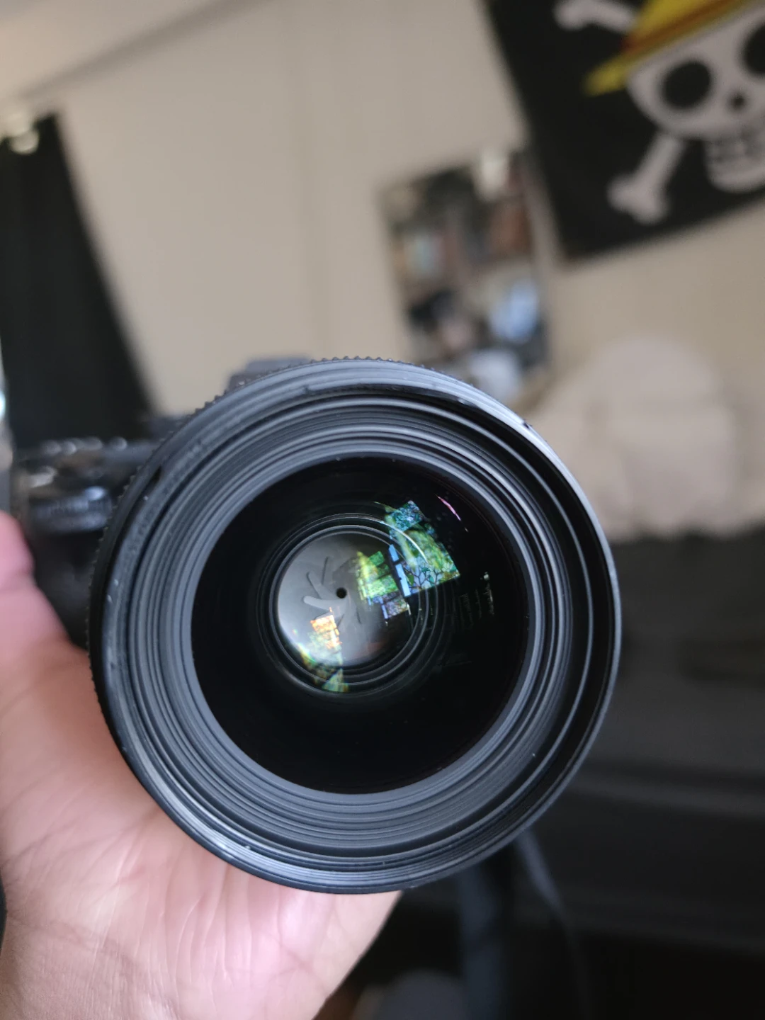 Sony A7Rii with Sigma 35mm 1.4 - photo 3