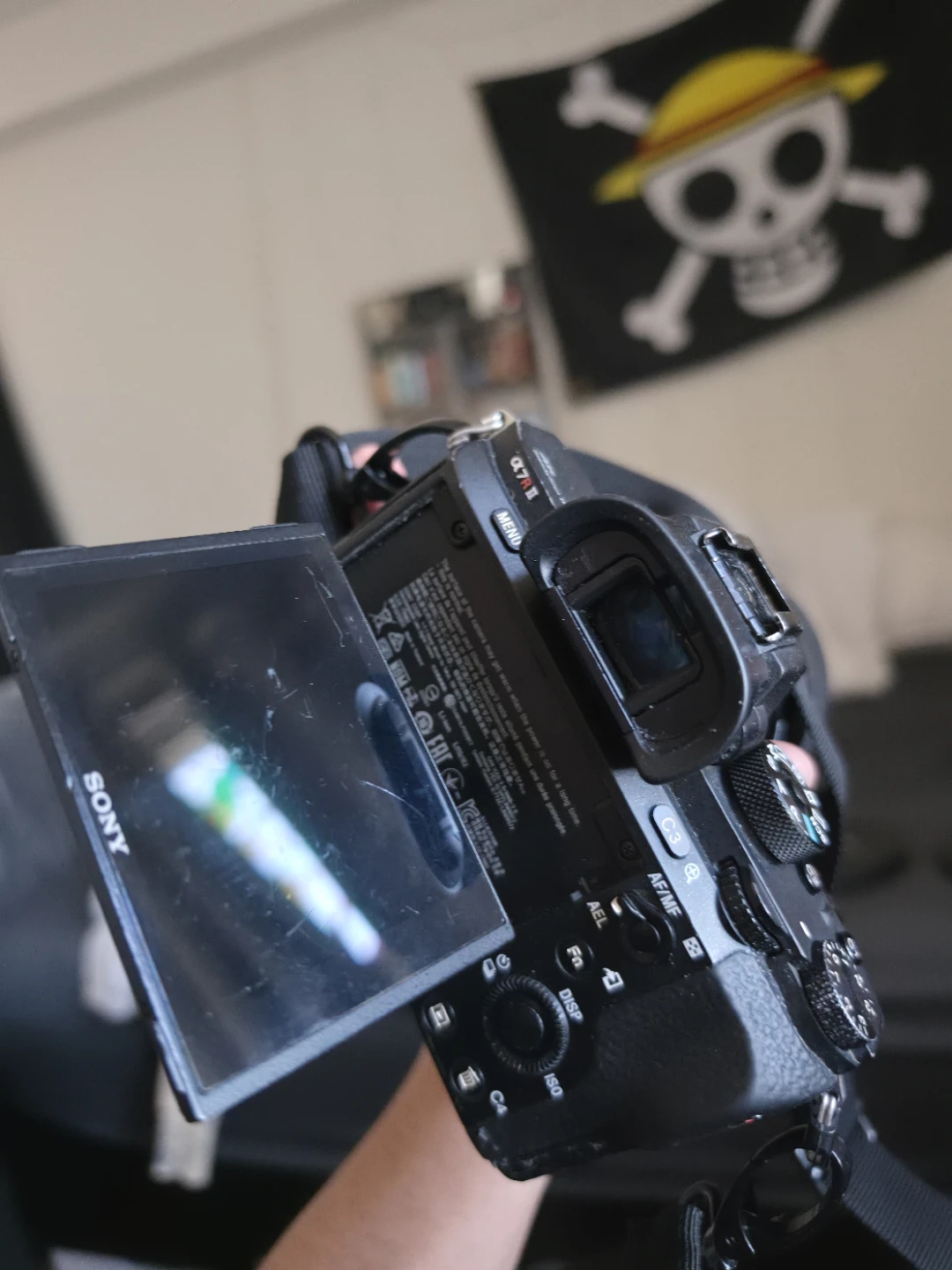 Sony A7Rii with Sigma 35mm 1.4 - photo 4