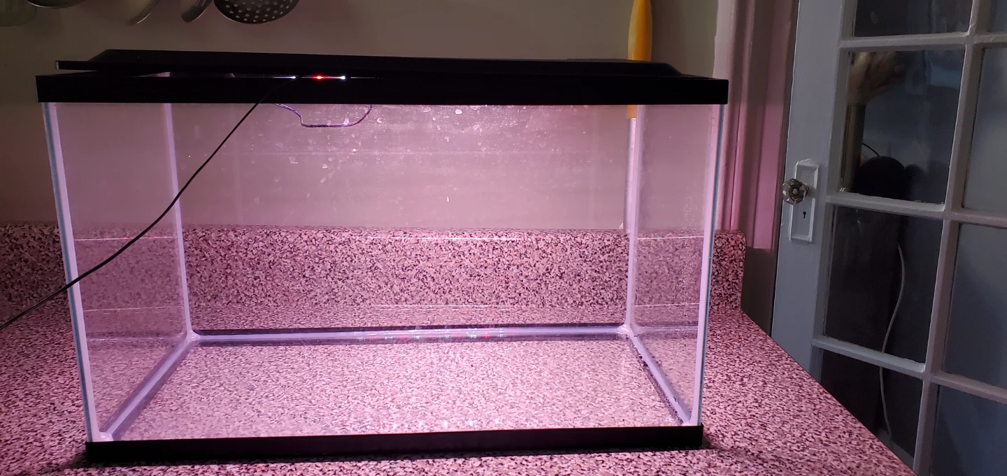 10 Gallon Glass Aquarium Tank with LED Light