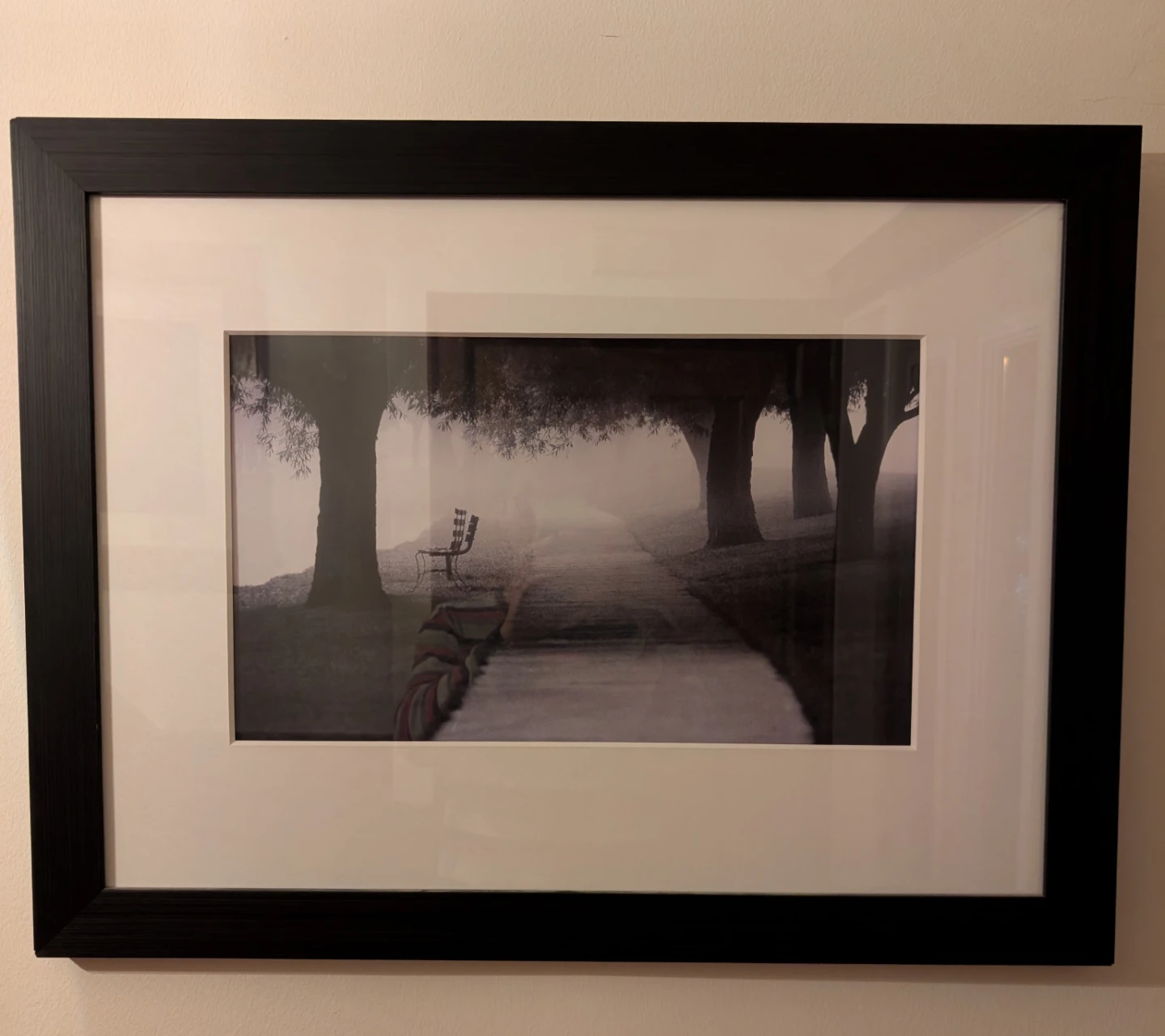 Framed Winter Tree Line & Foggy Park Pathway Art Prints