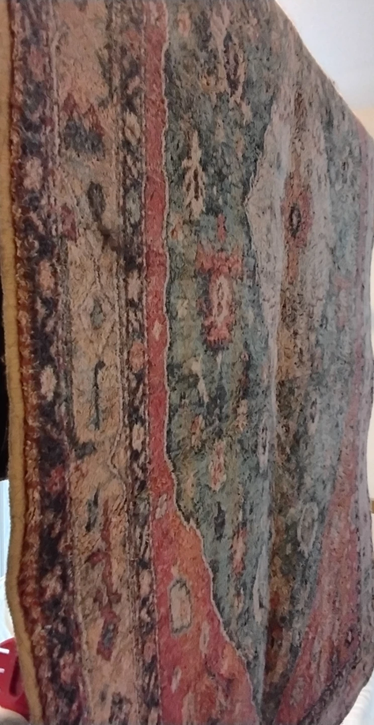Vintage Style Area Rug - photo 2