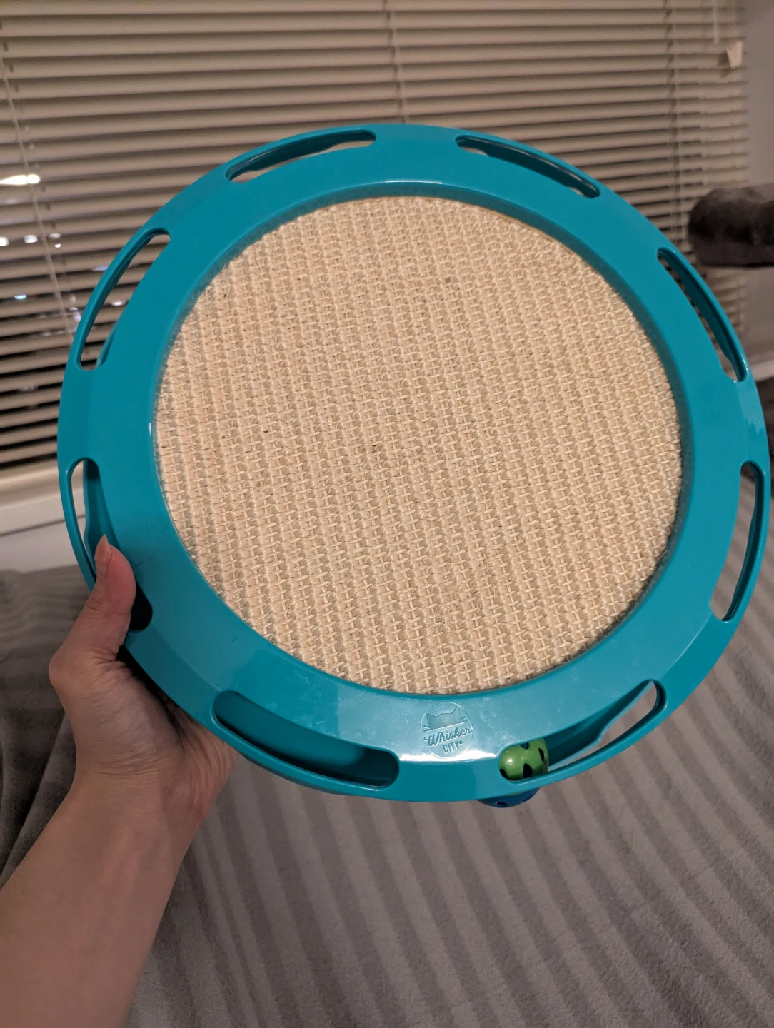 Whisker City Ball Track & Scratcher Cat Toy