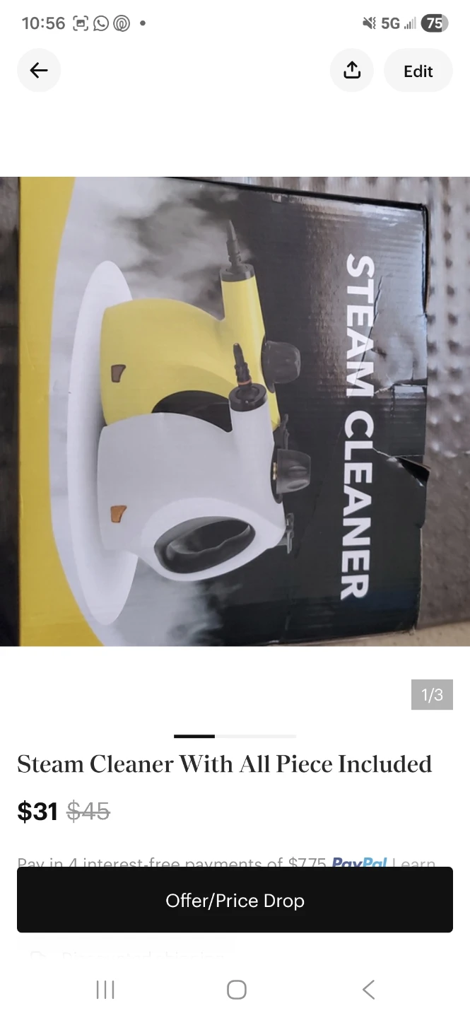 Steam Cleaner With All Pieces Included