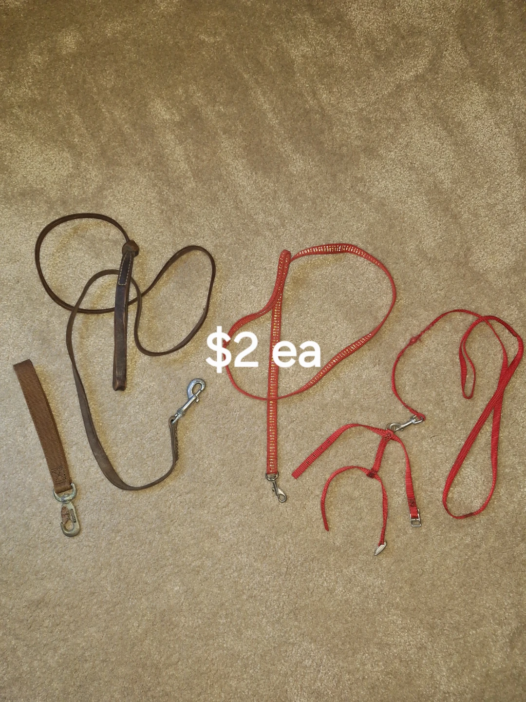 Dog Leashes and Harness