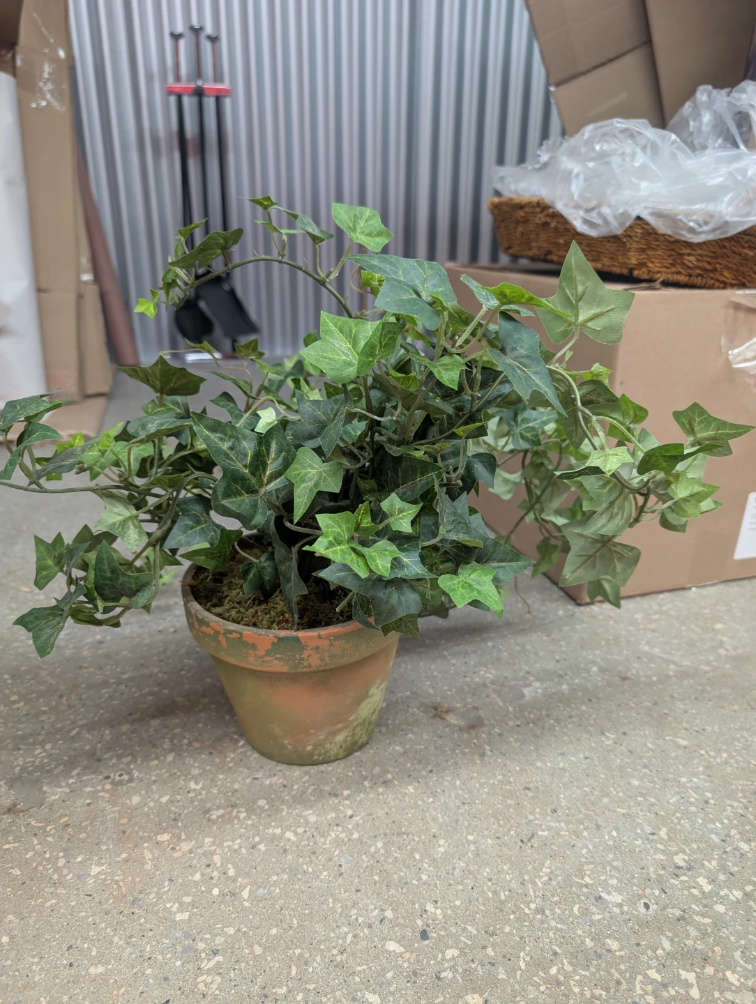 Artificial Ivy Plant in Terracotta Pot - photo 2