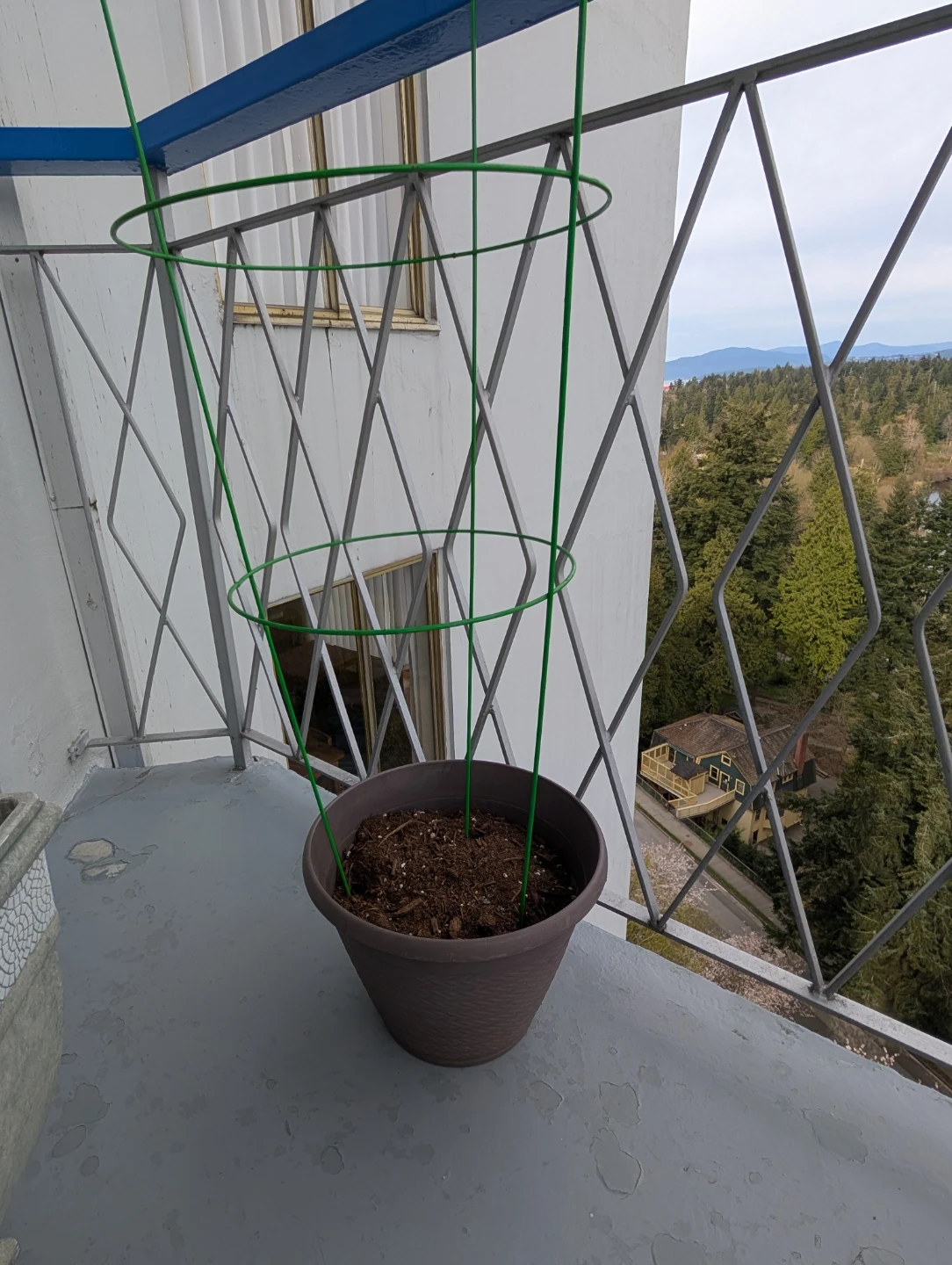 4 Grey Plastic Plant Pots w/Soil - photo 2