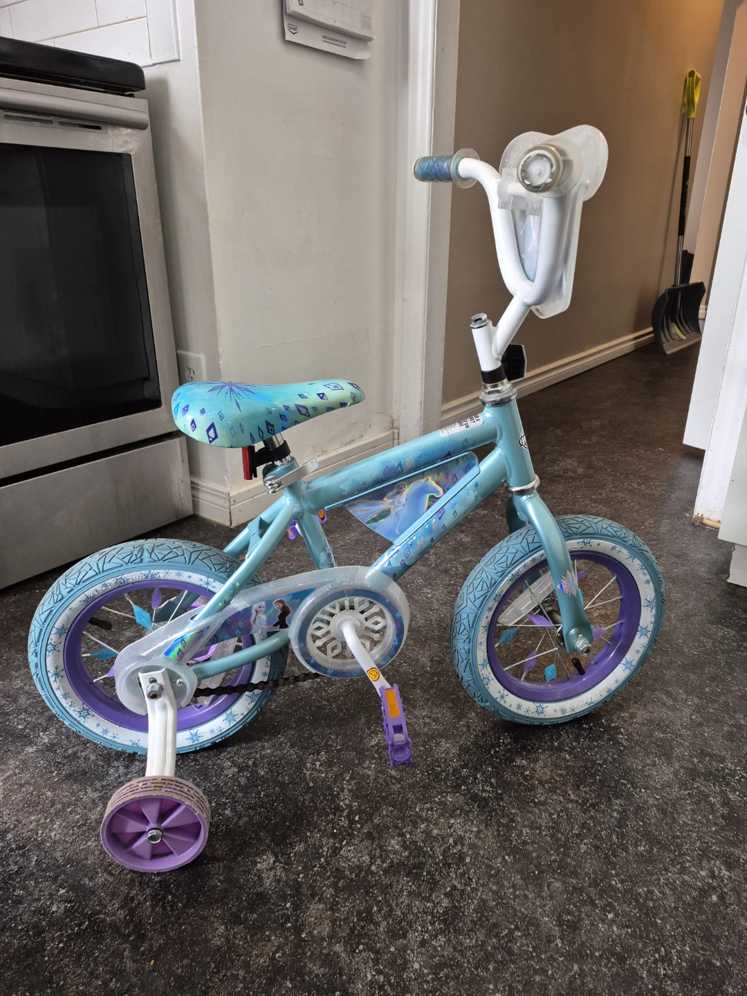 Kids Frozen Bike with Training Wheels