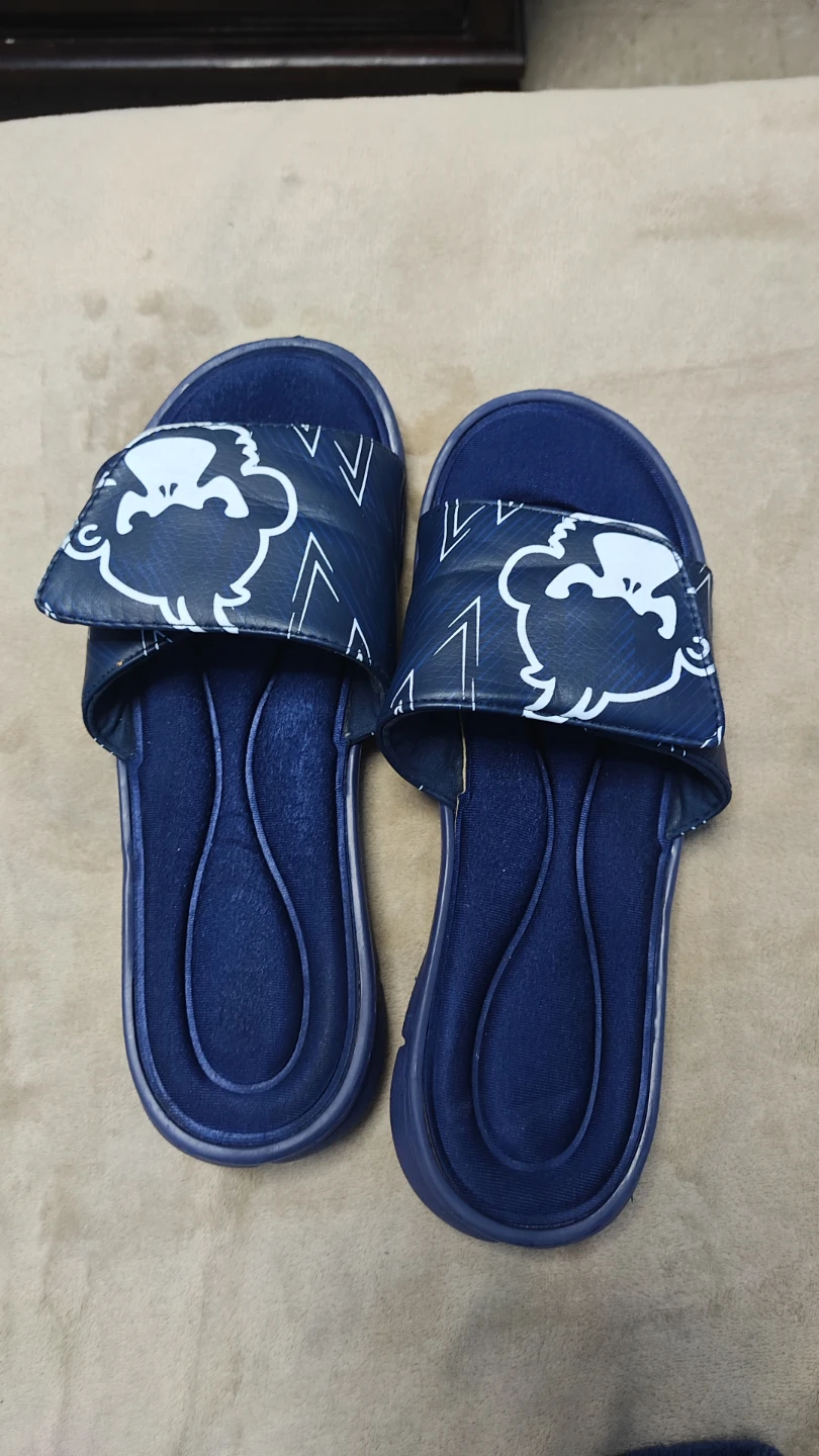 Blue Slides with monkey Design (cash only)