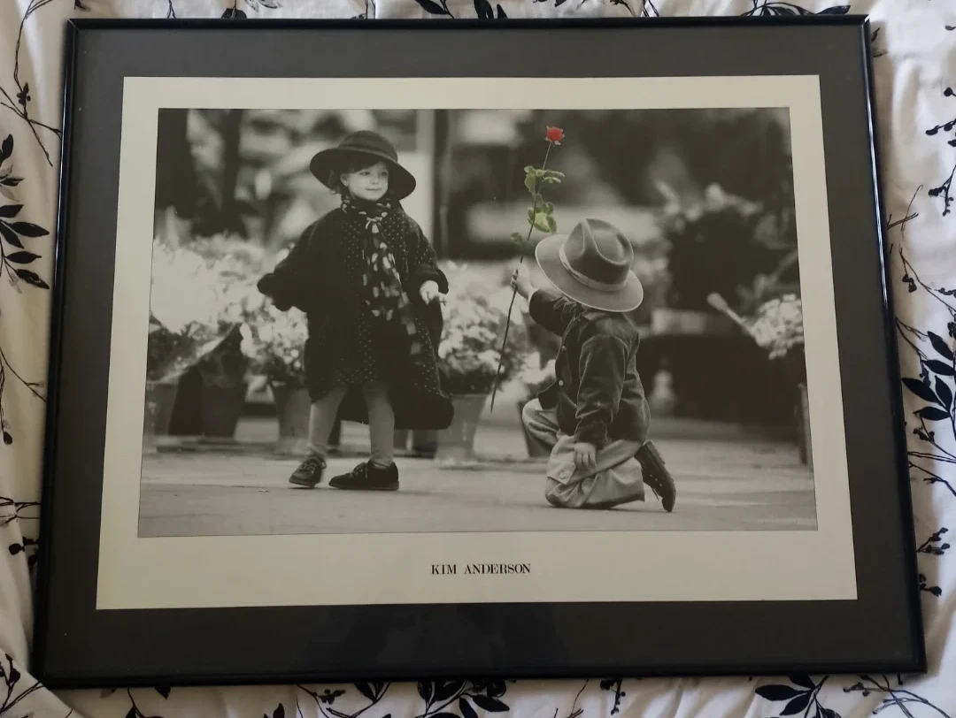 Framed Print by Kim Anderson