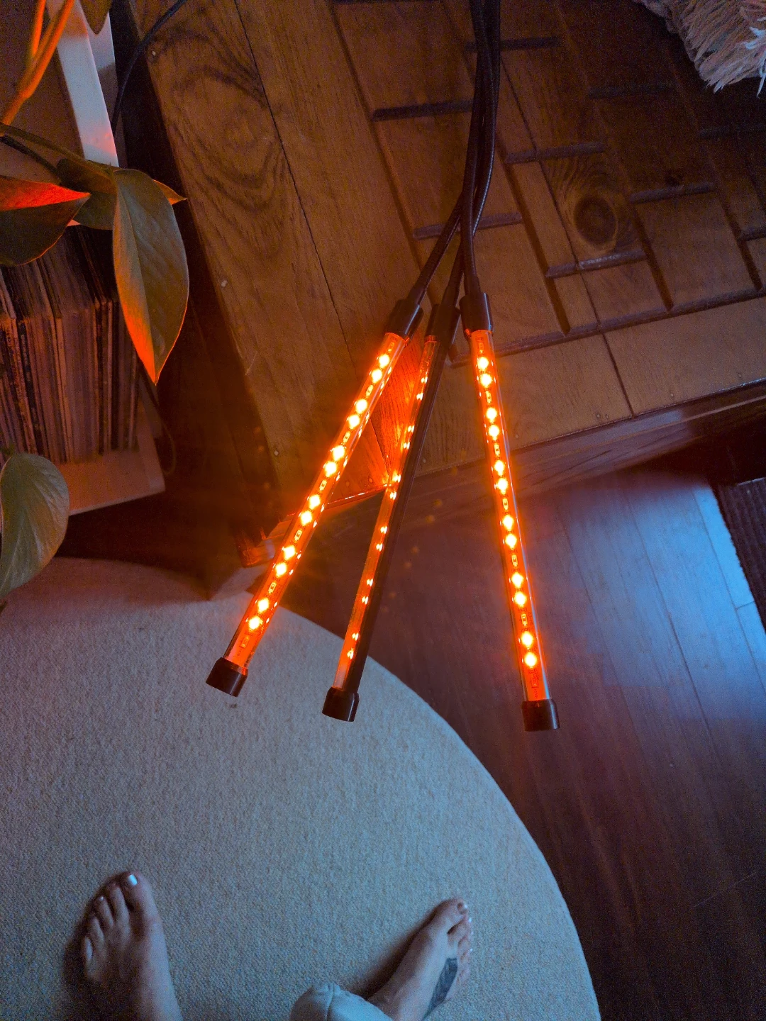 Clip-on Grow Light with 3 Flexible Arms - photo 2