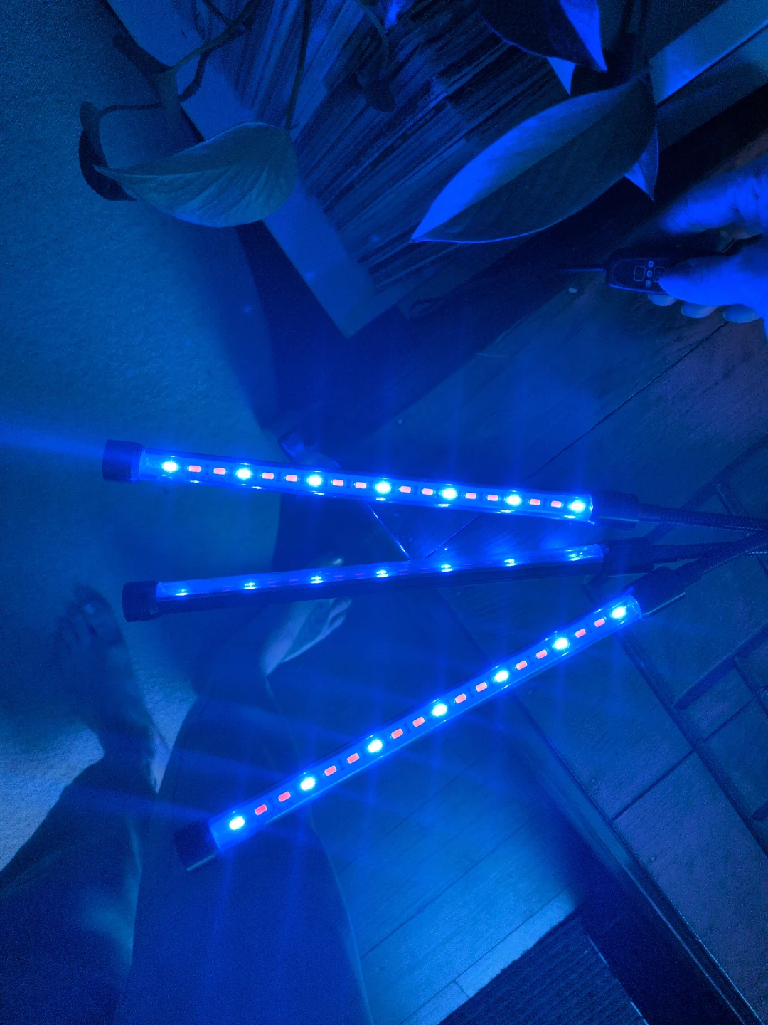 Clip-on Grow Light with 3 Flexible Arms - photo 3