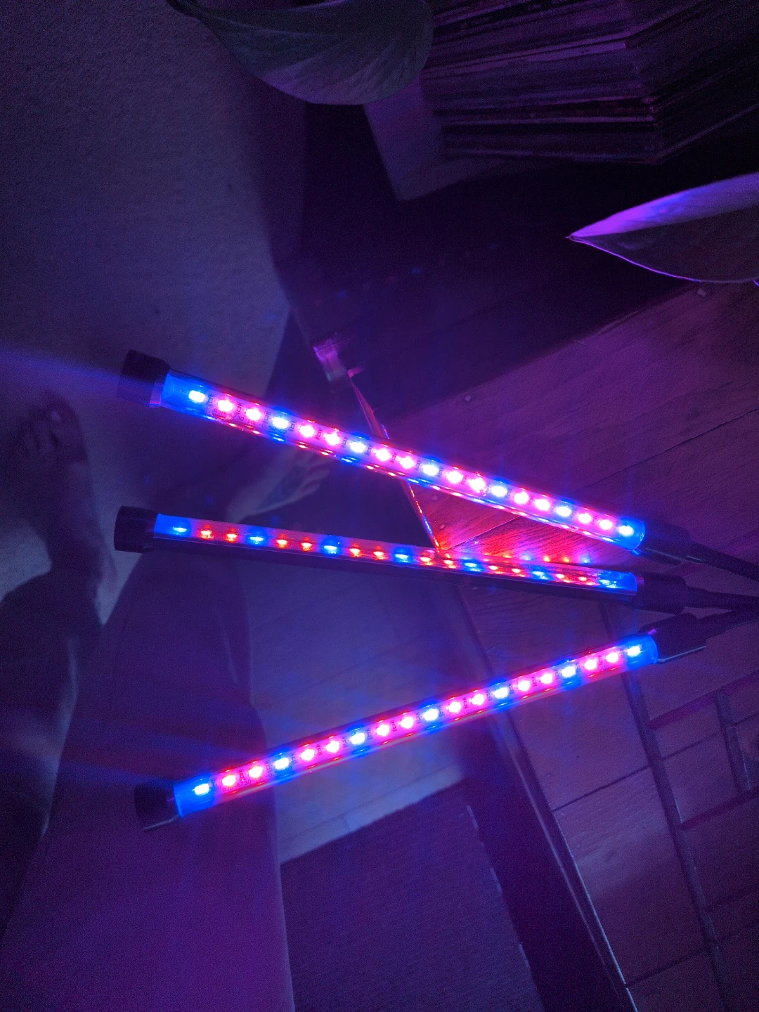 Clip-on Grow Light with 3 Flexible Arms - photo 4