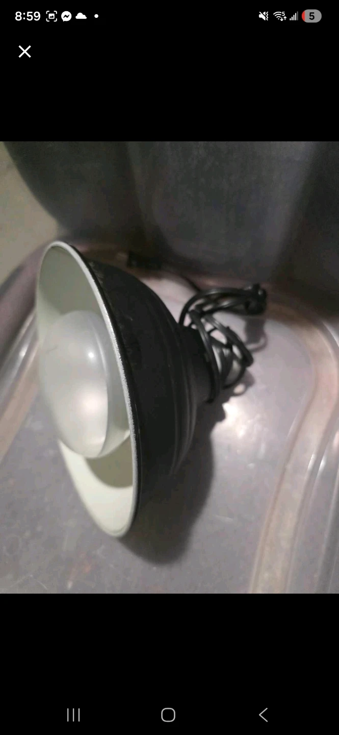 Lamp Reflector with Cord