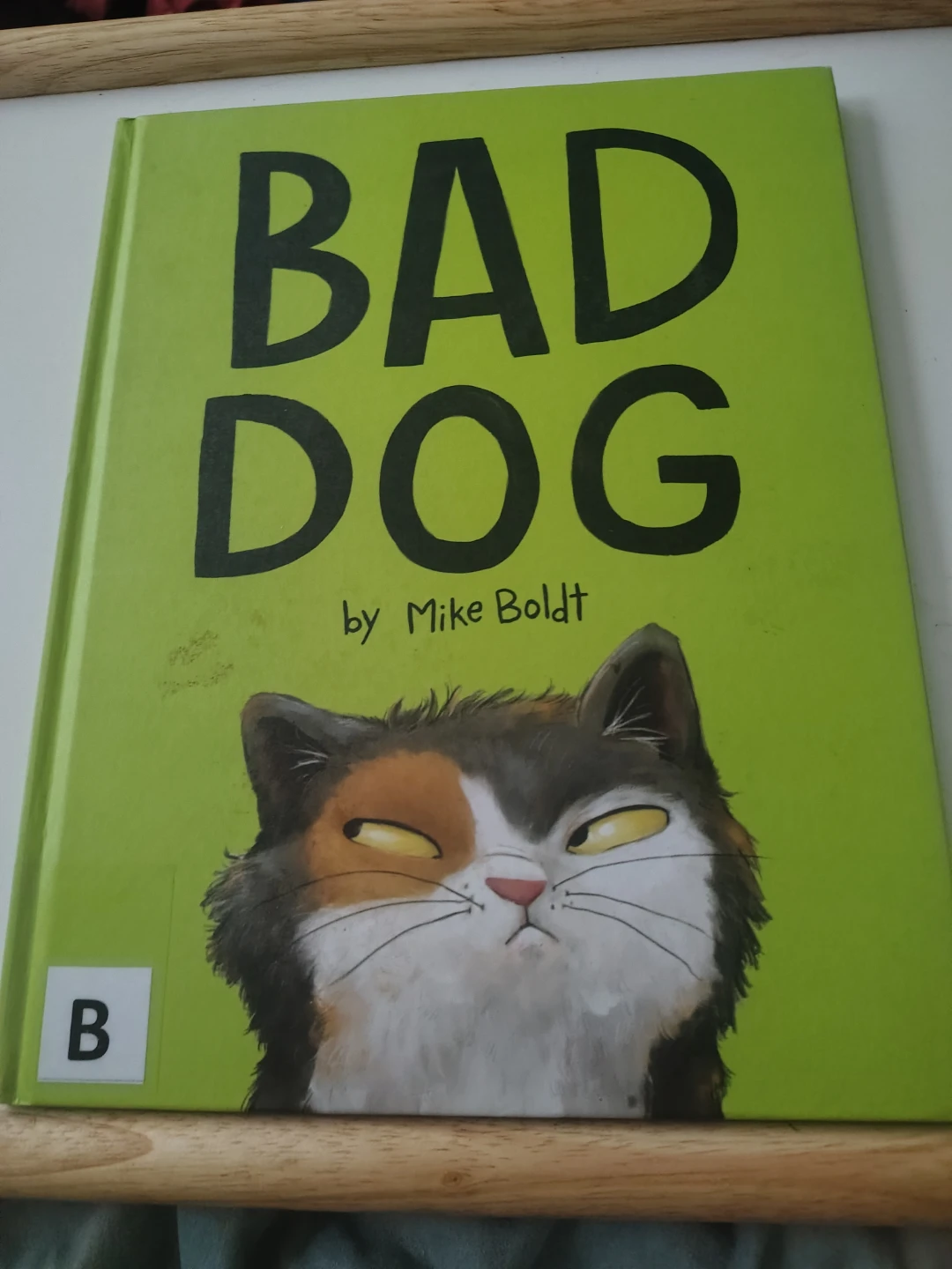 3 children's books.