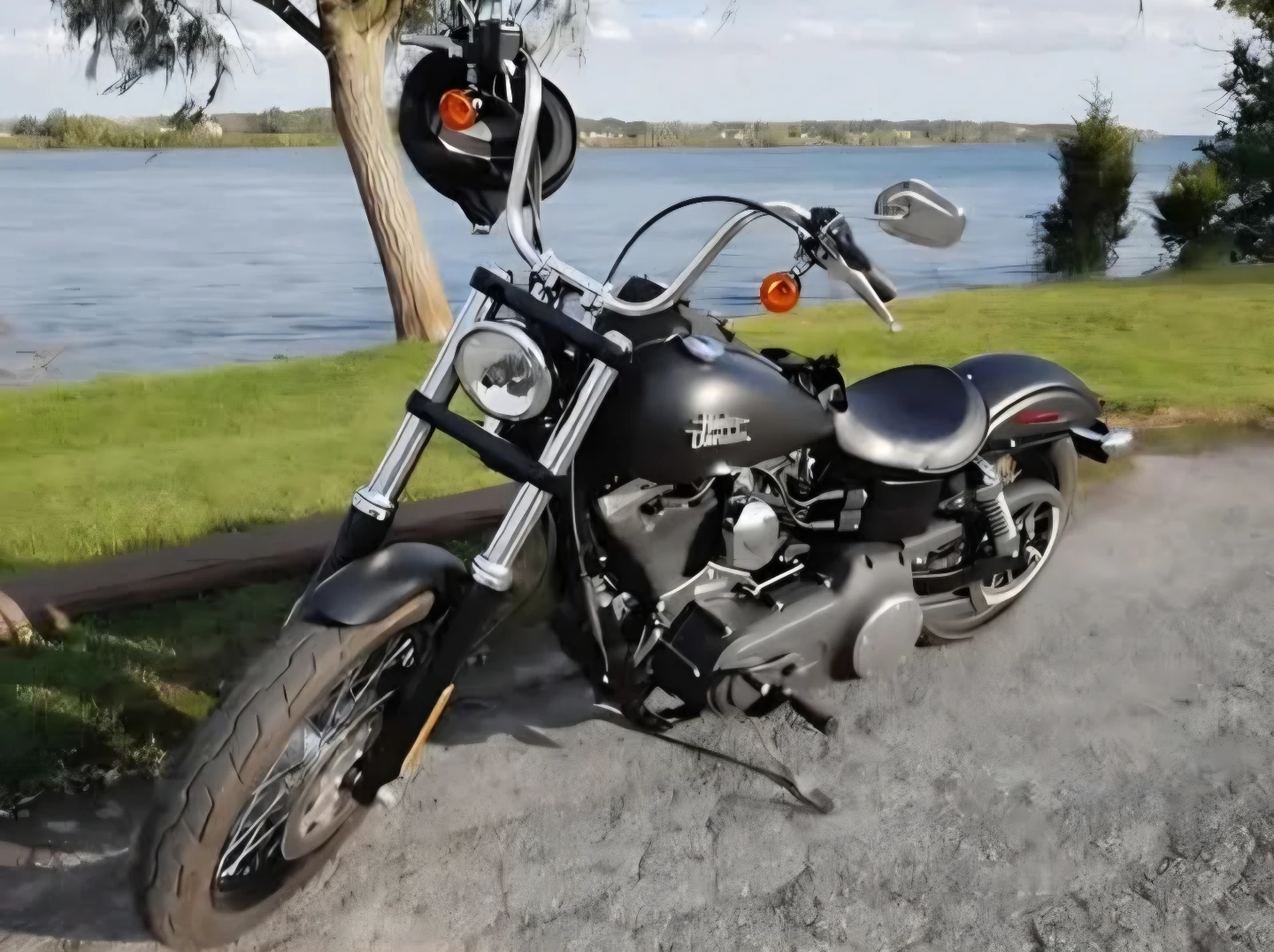 Harley-Davidson Motorcycle - photo 2