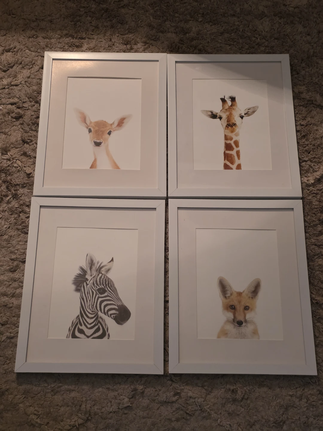Set of 4 Framed Watercolour Animal Prints