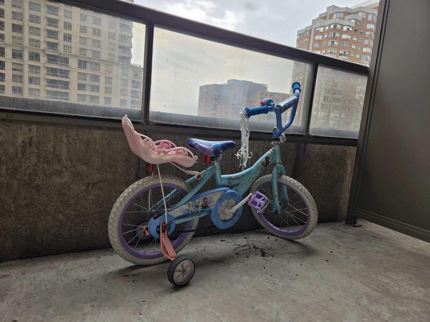 Kids Frozen Bicycle with Training Wheels