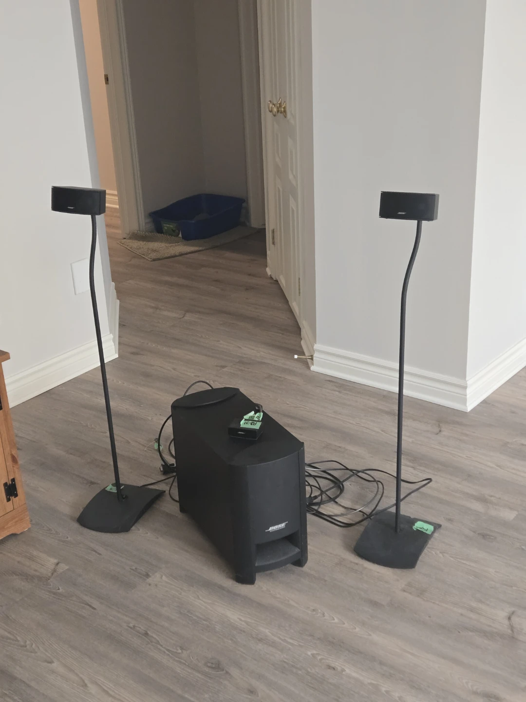 Bose Cinemate GS Series II Digital Home Theater System