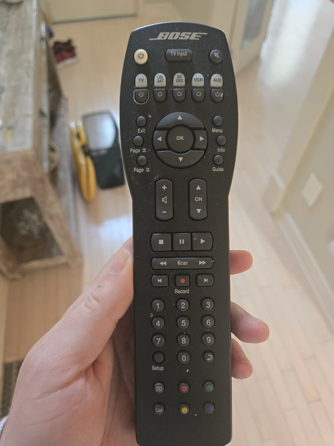 Bose Cinemate GS Series II Digital Home Theater System - photo 3