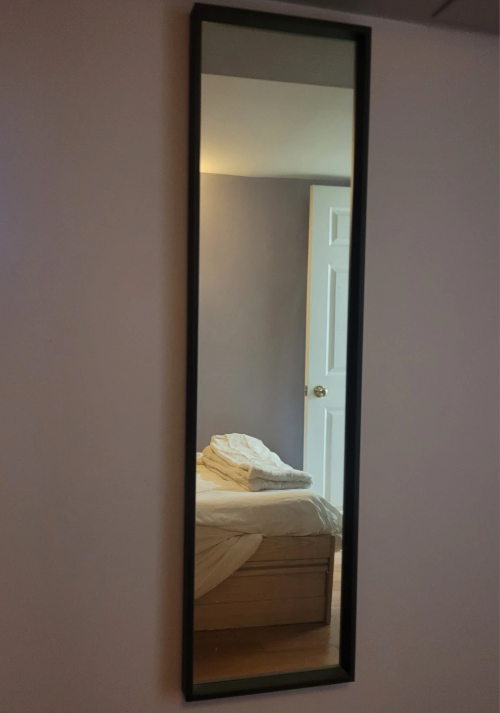 Black Framed Full Length Mirror
