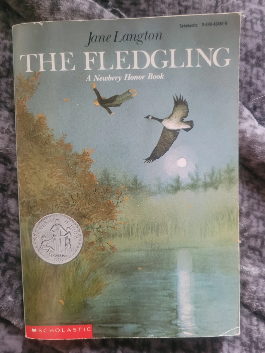 The Fledgling by Jane Langton - photo 2