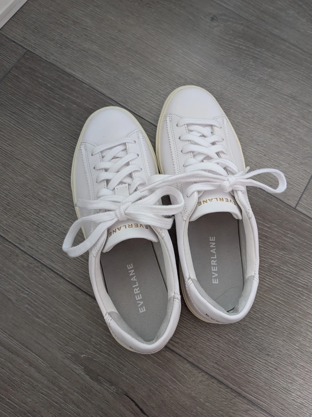 BRAND NEW Everlane THE DAY Sneakers - Never Worn